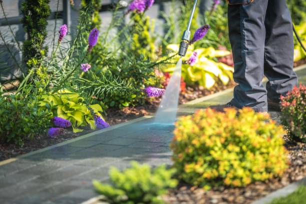 Best Sidewalk and Walkway Cleaning  in Moncks Corner, SC